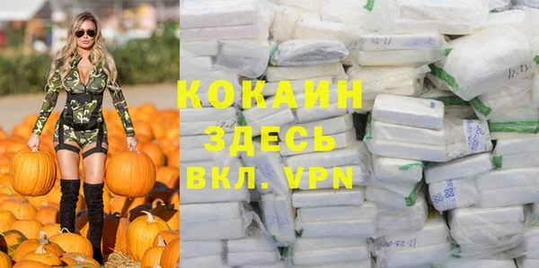 apvp Богородицк