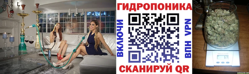 сайты даркнета какой сайт  МЕГА рабочий сайт  Велиж  Канабис семена 